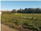 32 Cheshire Street, Coolup WA 6214