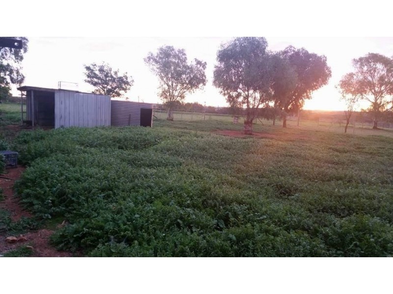 Grass Valley WA 6403