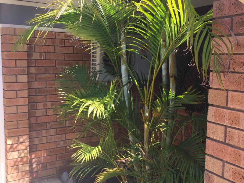 6/19 Golf Road, Parkwood WA 6147