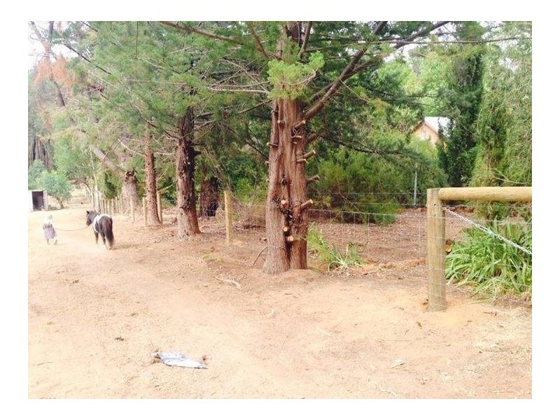 218 Holyoake Road, Dwellingup WA 6213