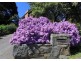 170 Quarantine Road, Norwood TAS 7250