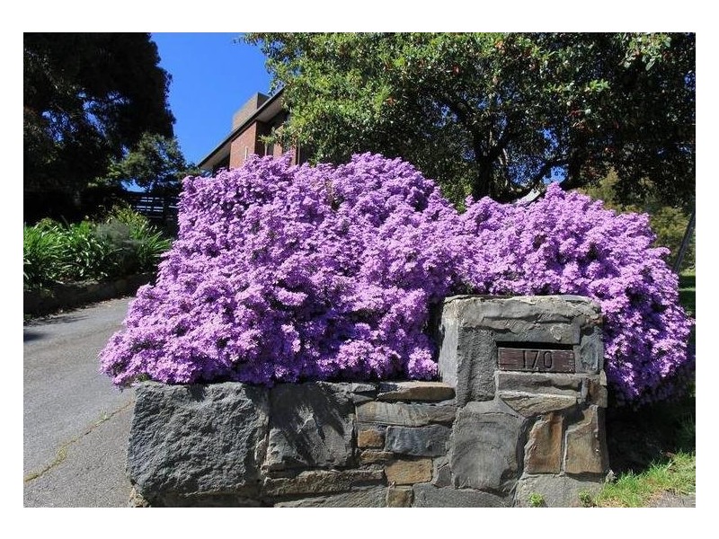 170 Quarantine Road, Norwood TAS 7250