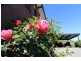 170 Quarantine Road, Norwood TAS 7250