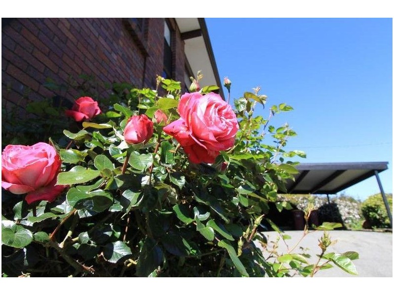 170 Quarantine Road, Norwood TAS 7250