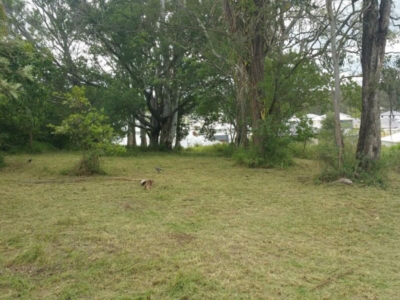 84 Jutland Street, Oxley QLD 4075