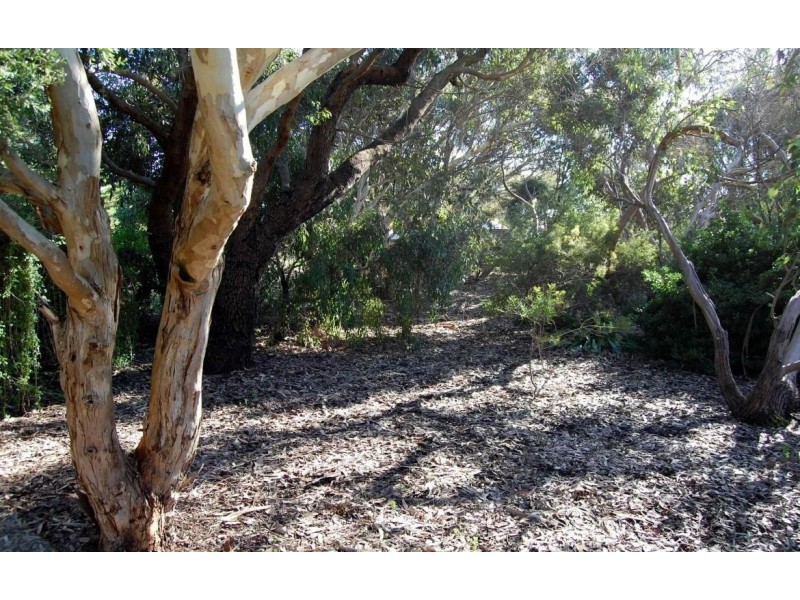 8817 Southern Ports Highway, Beachport SA 5280