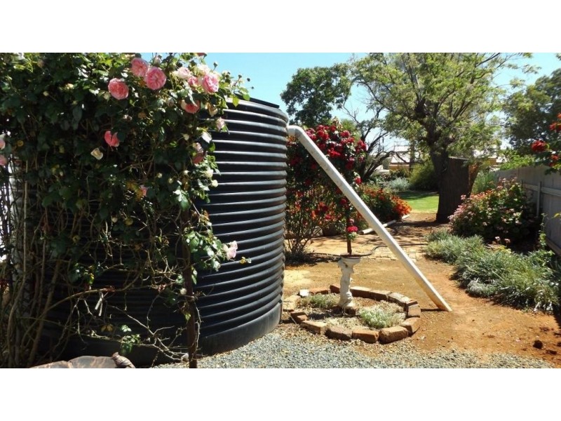 17 Dundoo Street, Tullibigeal NSW 2669