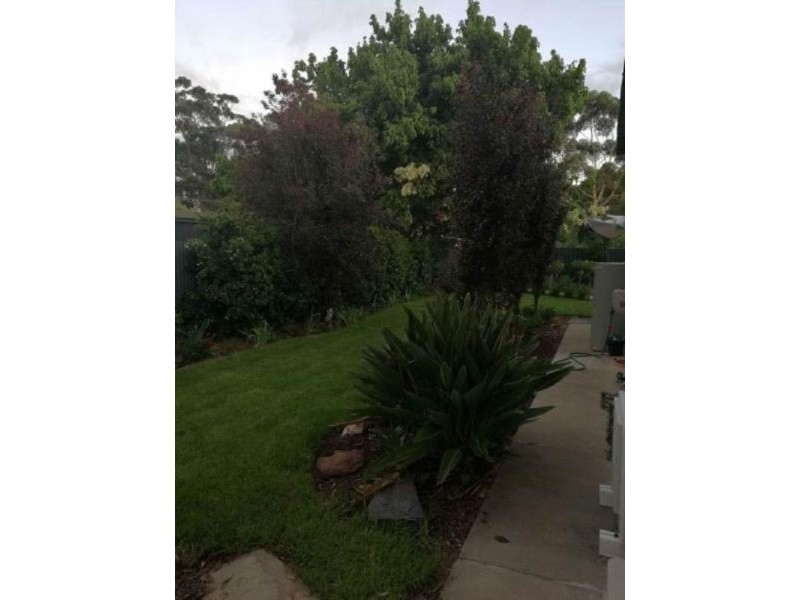 4 Eveline Street, Tanunda SA 5352
