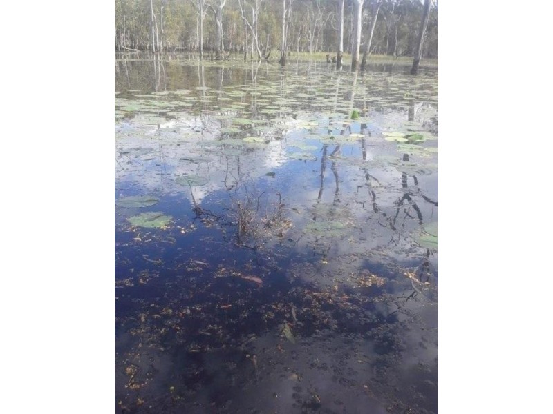 Winfield QLD 4670