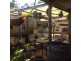 55 Crutchett Road, Moonta SA 5558