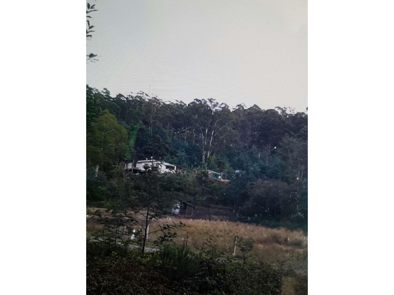 560 Maurice Road, Ringarooma TAS 7263