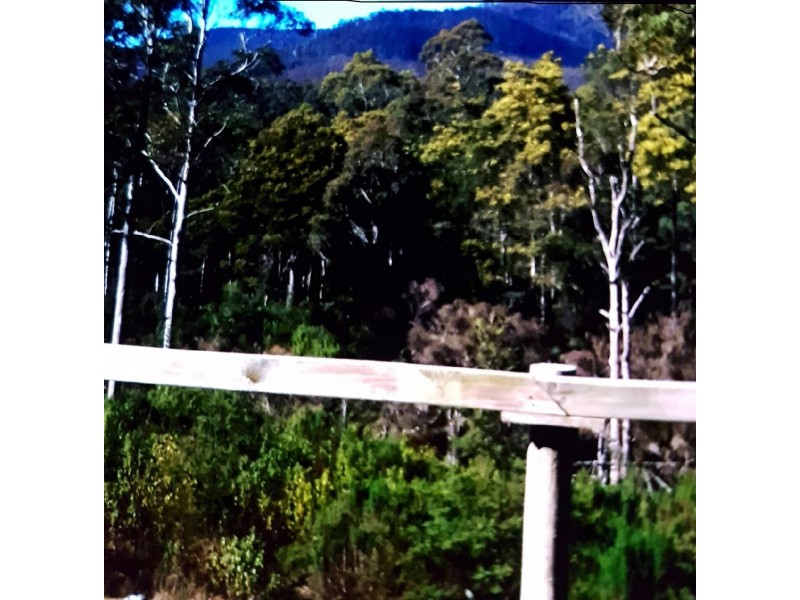 560 Maurice Road, Ringarooma TAS 7263