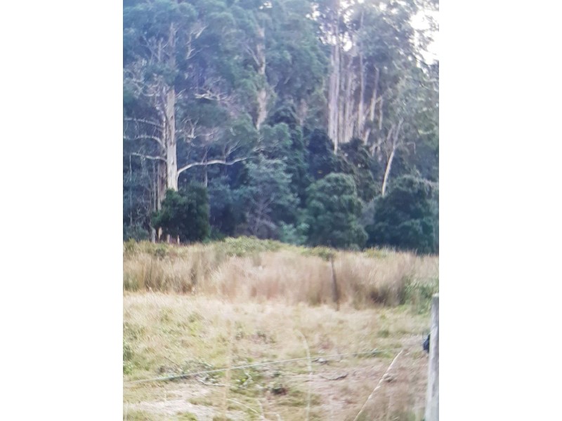 560 Maurice Road, Ringarooma TAS 7263