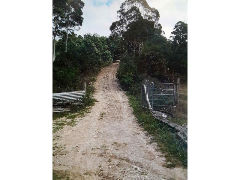 560 Maurice Road, Ringarooma TAS 7263