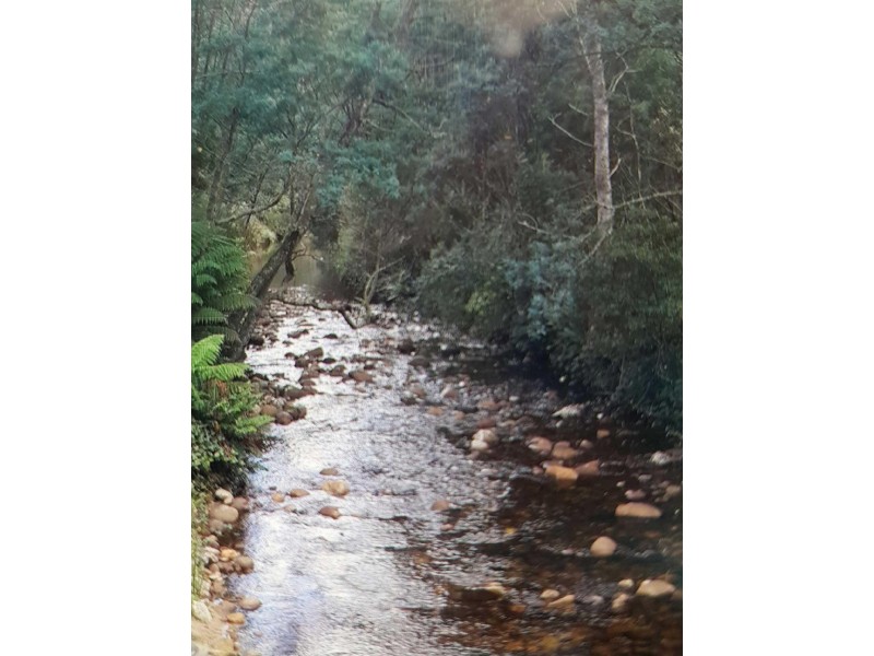 560 Maurice Road, Ringarooma TAS 7263