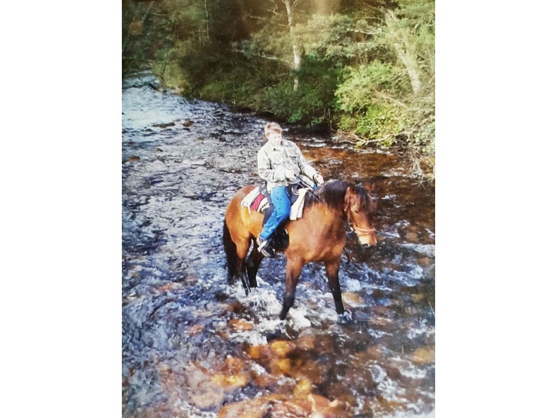 560 Maurice Road, Ringarooma TAS 7263