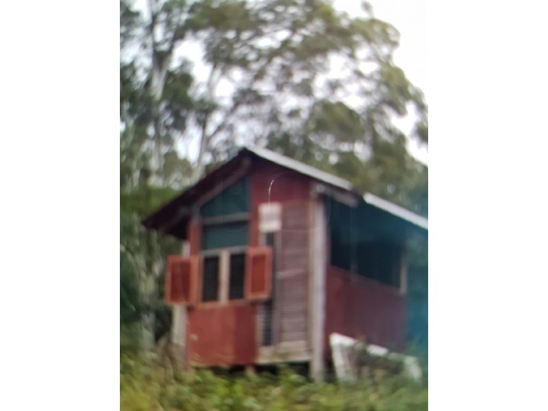 560 Maurice Road, Ringarooma TAS 7263