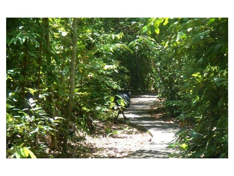 17 Sanctuary Crescent, Wongaling Beach QLD 4852