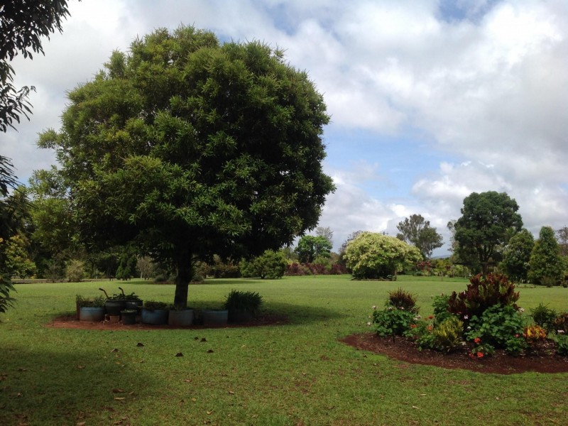 * Sigley Road, Wondecla QLD 4887