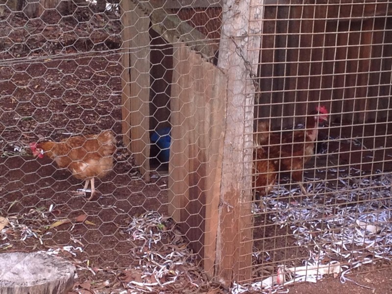 * Sigley Road, Wondecla QLD 4887