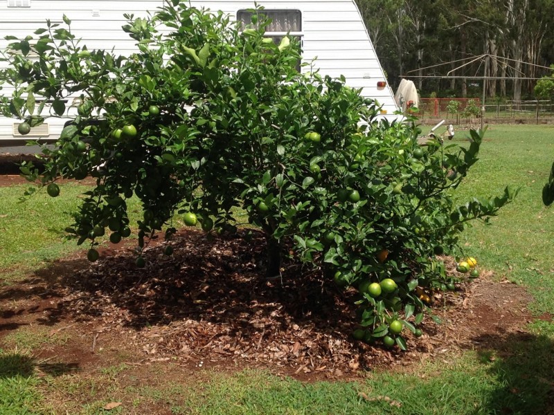 * Sigley Road, Wondecla QLD 4887