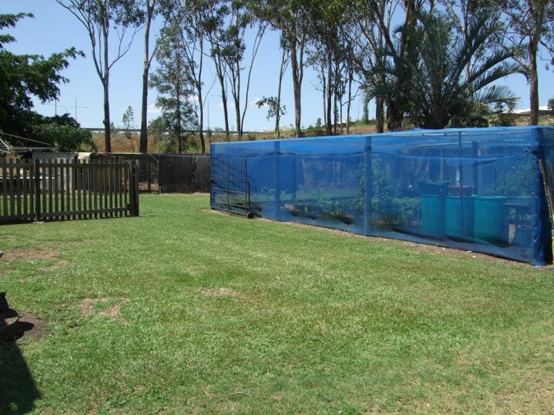 25 Findling Road, Boyne Island QLD 4680