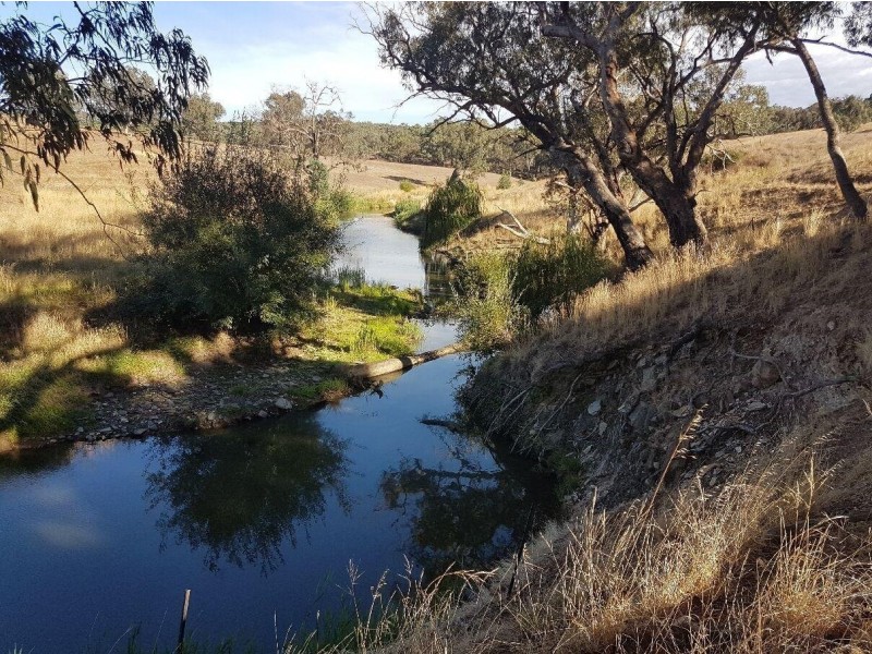 1177 Carabost Road, Humula NSW 2652