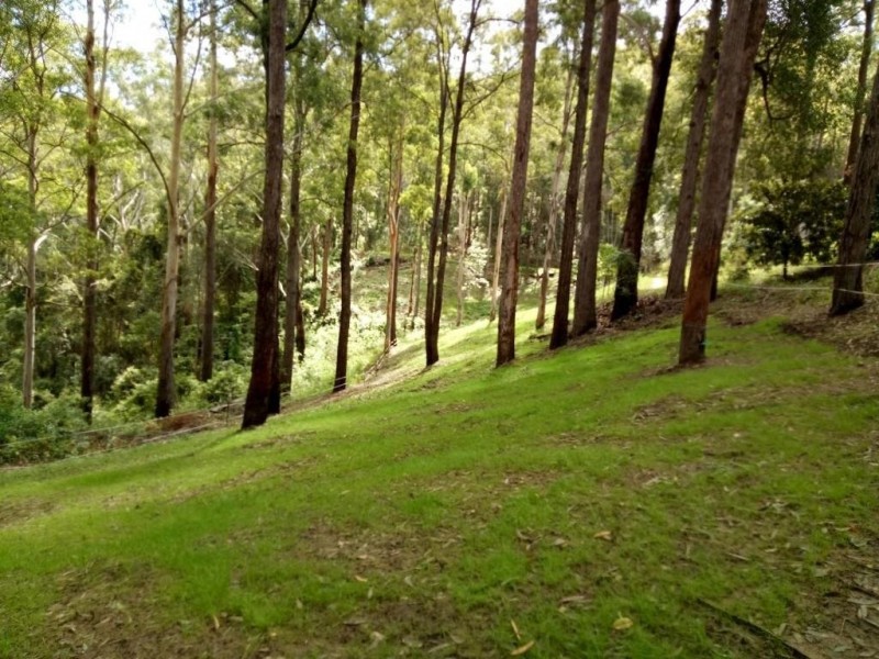 32 Codys Road, Valla NSW 2448