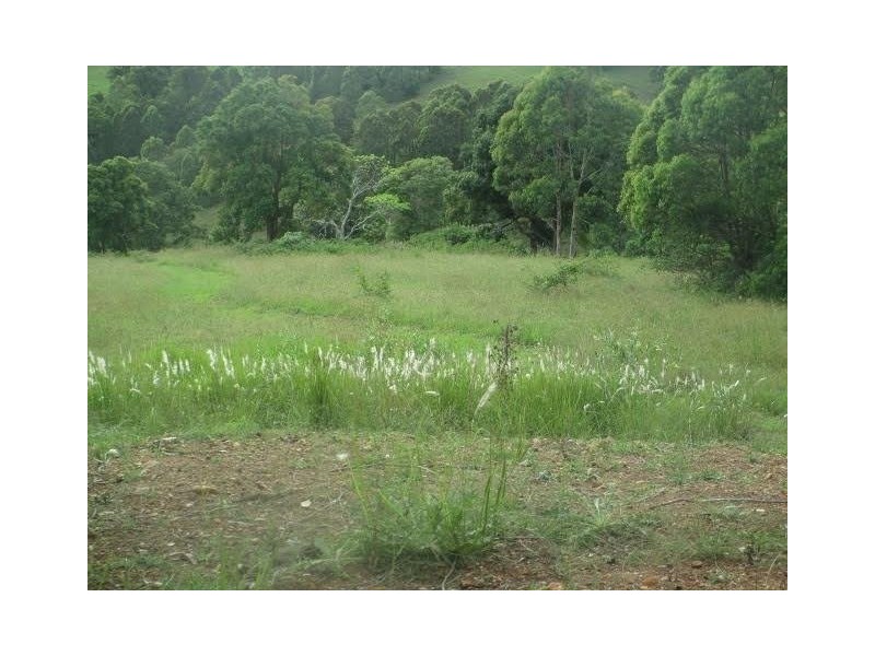 5697-5699 The Bucketts Way, Burrell Creek NSW 2429