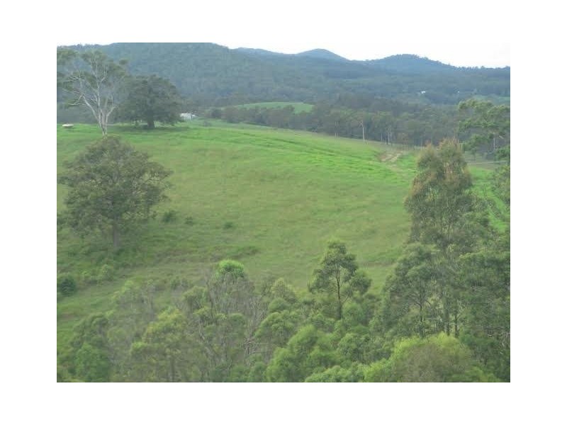 5697-5699 The Bucketts Way, Burrell Creek NSW 2429