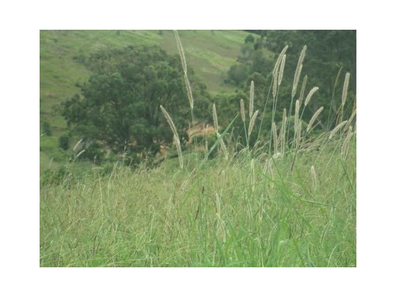 5697-5699 The Bucketts Way, Burrell Creek NSW 2429