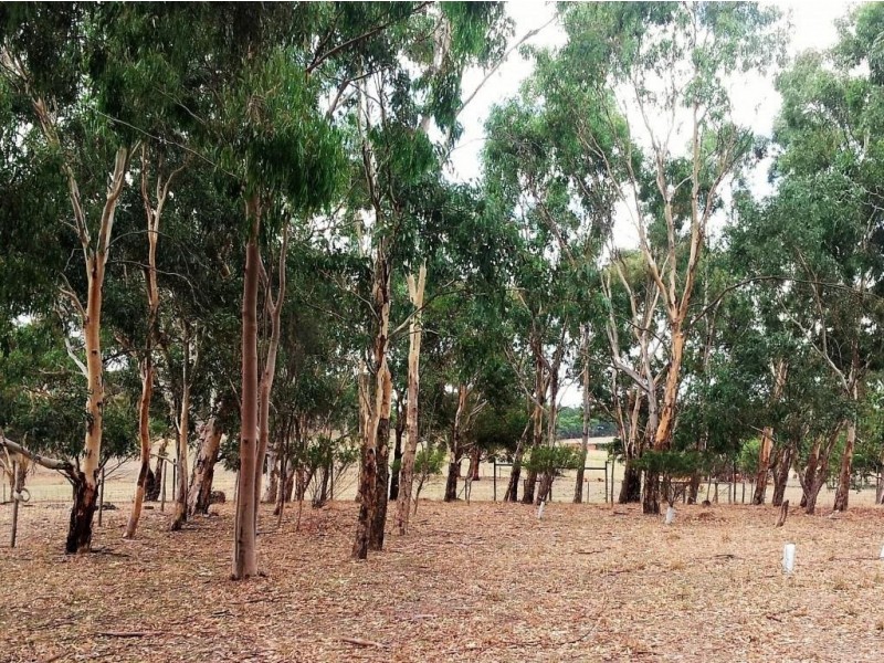 87 Long Valley Road, Wistow SA 5251