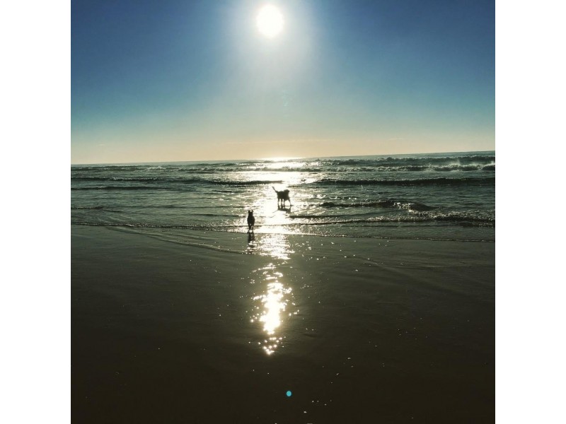 1/4 Halyard Court, Ocean Shores NSW 2483