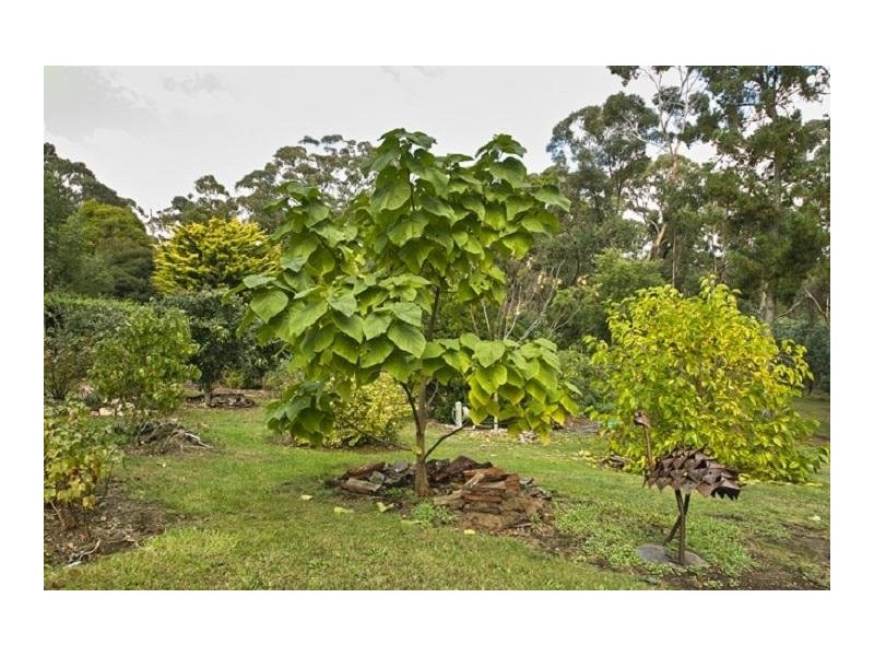 2166 Midland Highway, Springmount VIC 3364