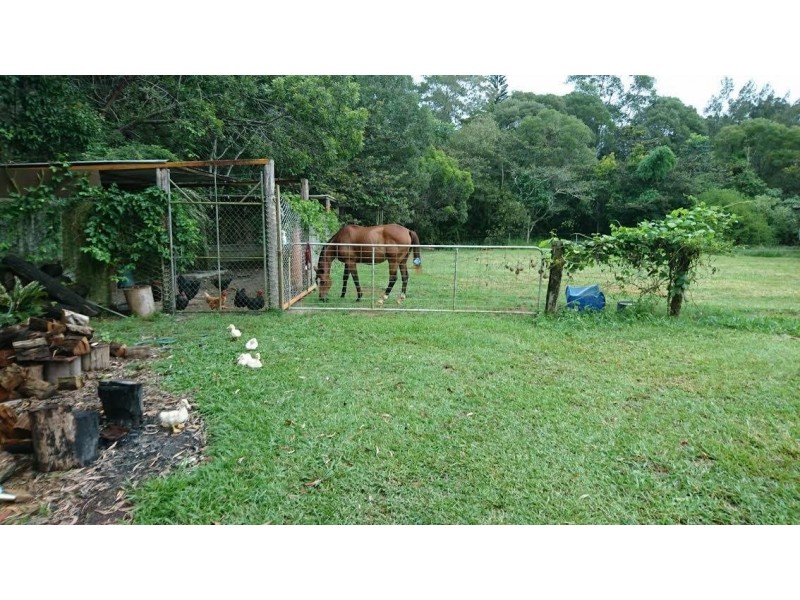 18 Ulysses Close, Lake Eacham QLD 4884
