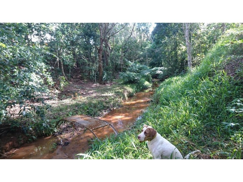 18 Ulysses Close, Lake Eacham QLD 4884