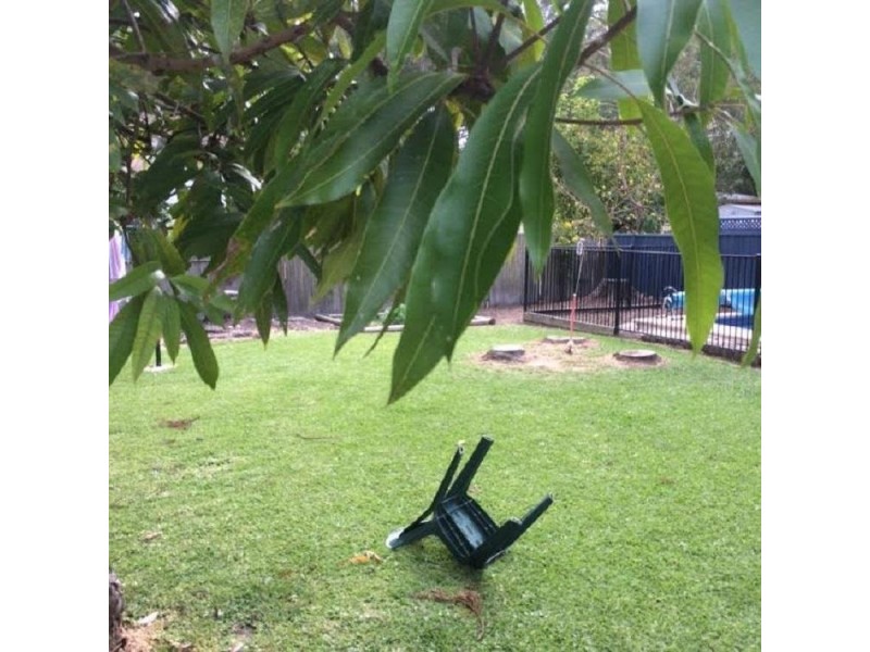 31 Blackbutt Avenue, Sandy Beach NSW 2456