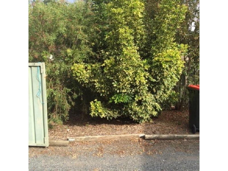 31 Blackbutt Avenue, Sandy Beach NSW 2456