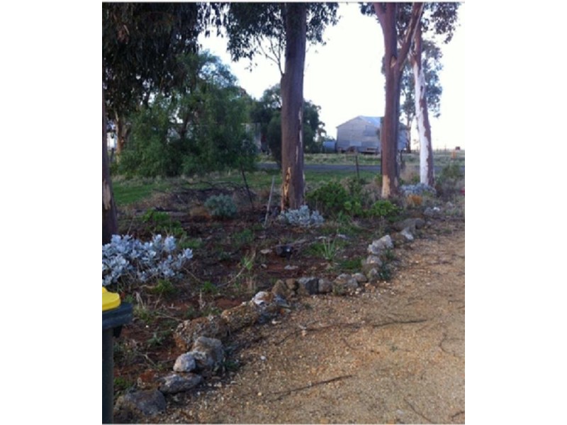 67 Dyer Street, Watchem VIC 3482