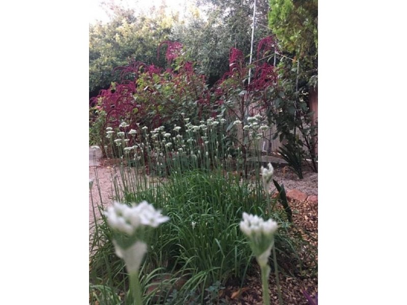 14 Harvey Street, Moonta Mines SA 5558