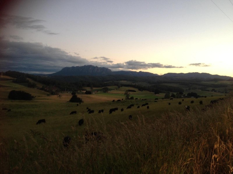 2877 Wilmot Road, Wilmot TAS 7310