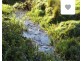 2877 Wilmot Road, Wilmot TAS 7310