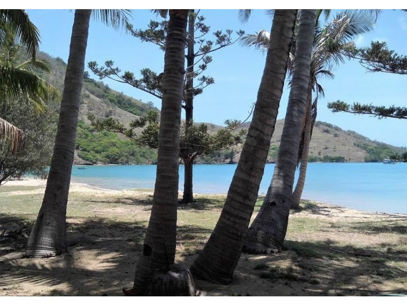 ** St. Bees Island, Whitsundays QLD 4802