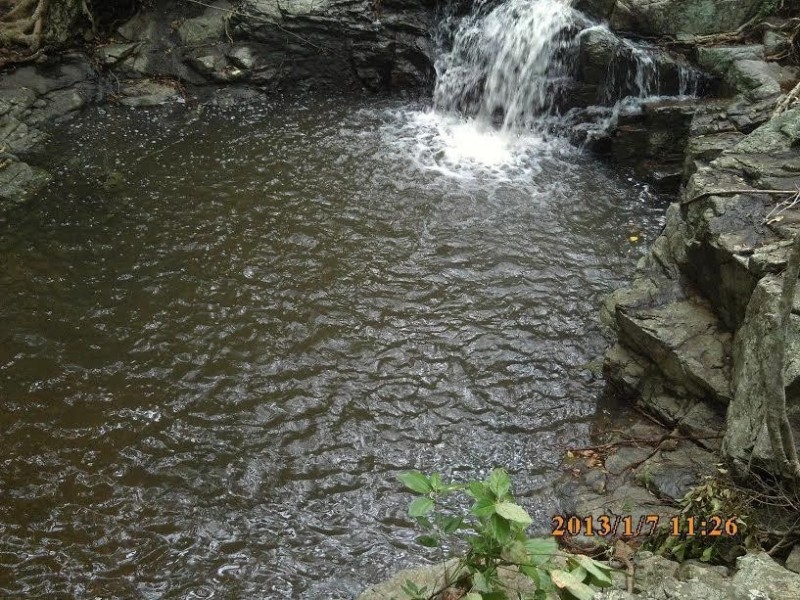 ** St. Bees Island, Whitsundays QLD 4802