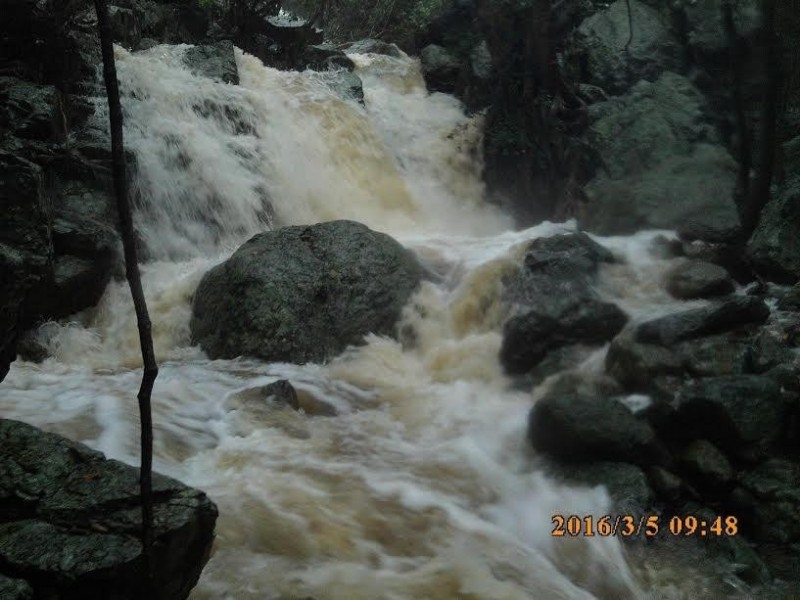 ** St. Bees Island, Whitsundays QLD 4802