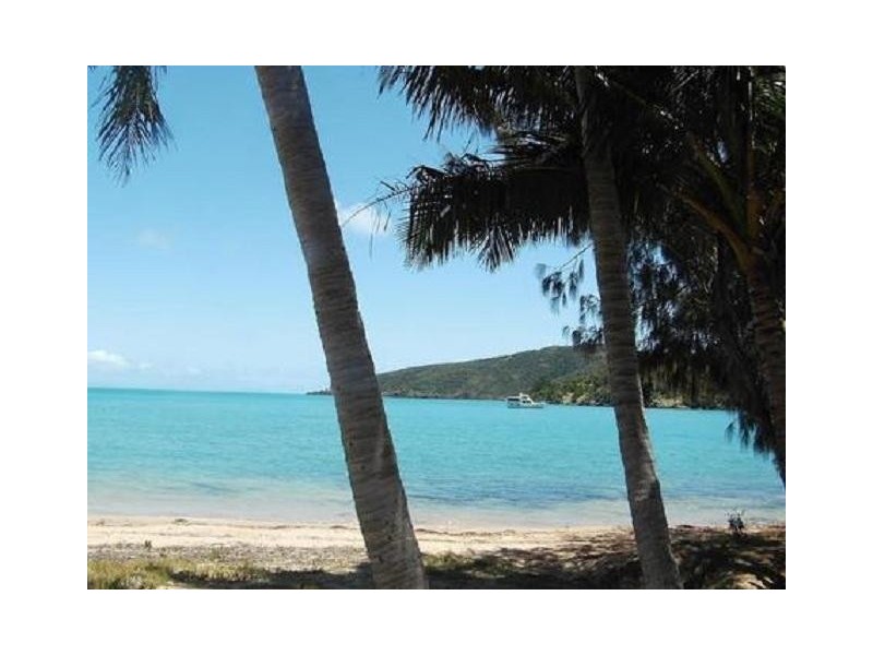 ** St. Bees Island, Whitsundays QLD 4802