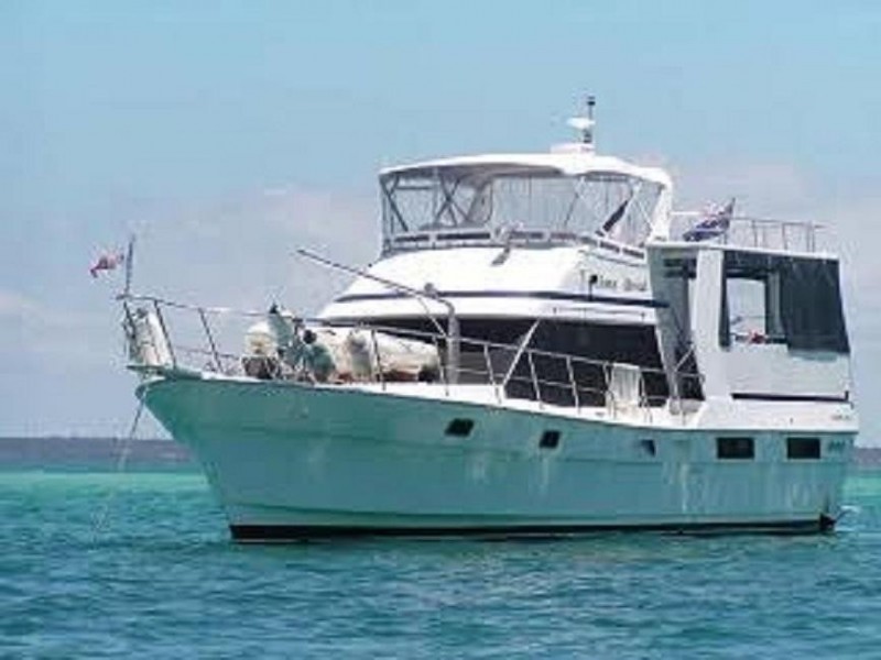 ** St. Bees Island, Whitsundays QLD 4802