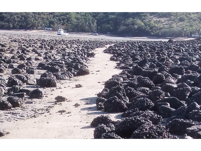 ** St. Bees Island, Whitsundays QLD 4802