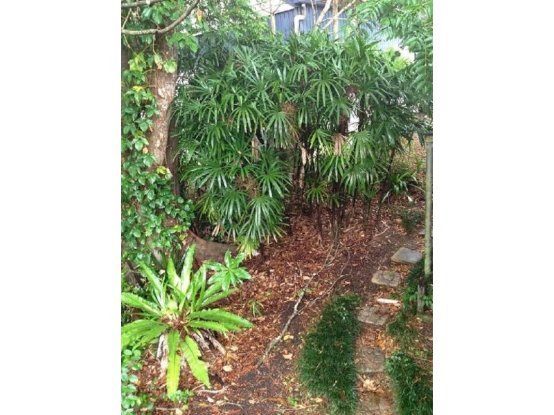 12 Pine Street, Pomona QLD 4568