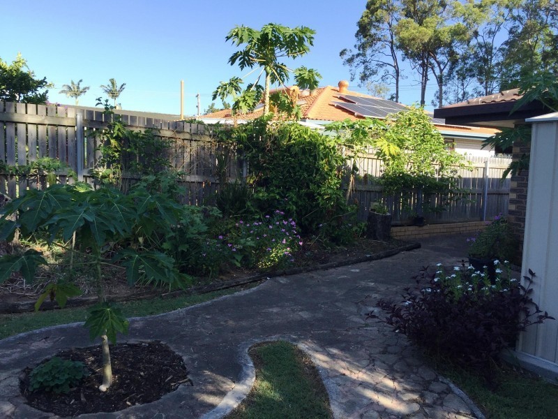 1 Leyton Street, Birkdale QLD 4159